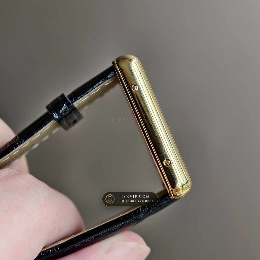 Cartier Tank Louis Cartier Large 18K Yellow Gold Ref. WGTA0011 — Private Vault Edition — Studio Gallery Plate IV in 18K Yellow Gold Au750 (45.9g Verified Mass, Cartier Manufacture Cal. 1917 MC)