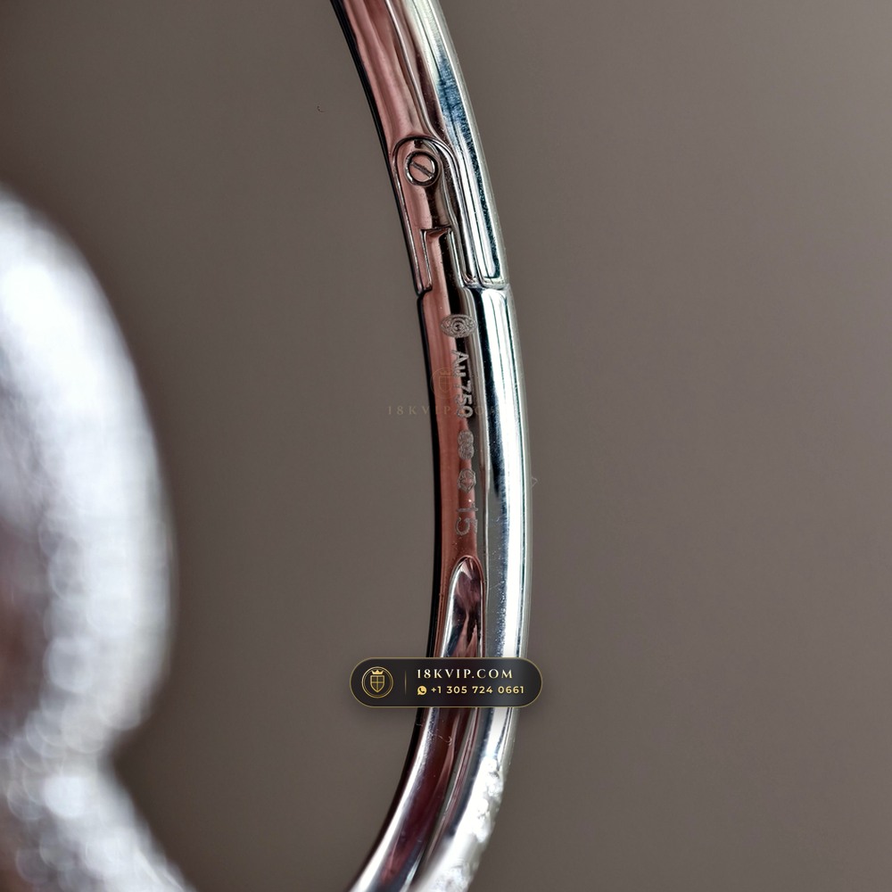 Cartier Baignoire Allongee High Jewelry Diamond Pave 18K White Gold Ref. HPI01773 — Private Vault Edition — Studio Gallery Plate VII in 18K White Gold Au750 (62.7g Verified Mass, Cartier Precision Horological Movement)