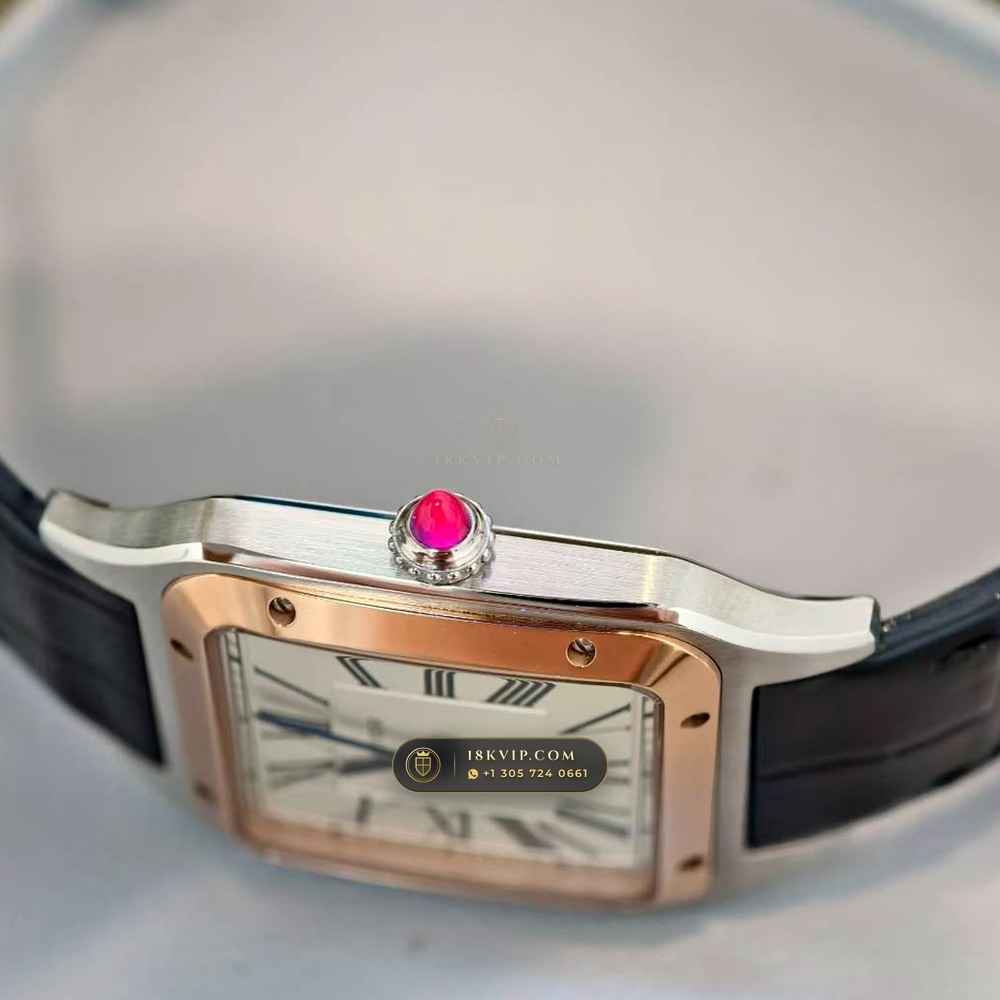 Cartier Santos-Dumont Medium Roman Dial Alligator Strap Ref. WSSA0023 — Private Vault Edition — Studio Gallery Plate VIII in 904L Stainless Steel Custom Architecture (115.9g Verified Mass, Cartier Manufacture Cal. 1847 MC / Skeleton Cal. 9611 MC)