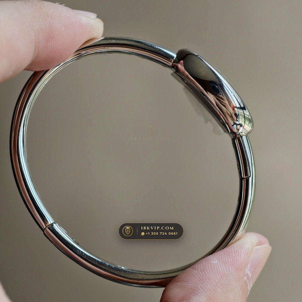 Cartier Baignoire Size 15 Bangle 18K White Gold Ref. WGBA0019 — Private Vault Edition — Studio Gallery Plate V in 18K White Gold Au750 (62.4g Verified Mass, Cartier Precision Horological Movement)