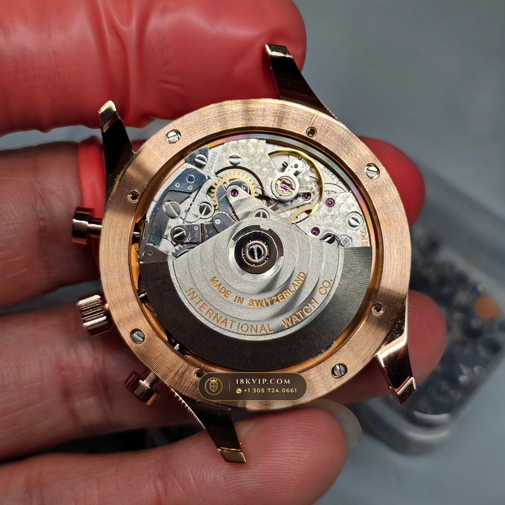 IWC Schaffhausen IWC Portugieser Chronograph 40.9mm Cal. 79350 Ref. IW371482 — Private Vault Edition — Studio Gallery Plate VI in 904L Stainless Steel Custom Architecture (81.8g Verified Mass, IWC Manufacture Cal. 69355 / Cal. 52010)