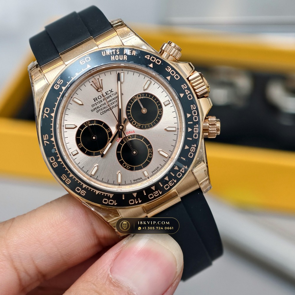 Rolex Cosmograph Daytona 18K Everose Gold Sapphire Caseback Spec Ref. 126515LN — Private Vault Edition — Studio Gallery Plate II in 18K Rose Gold Au750 (160.6g Verified Mass, Rolex Manufacture Cal. 4131 - 72h Power Reserve)