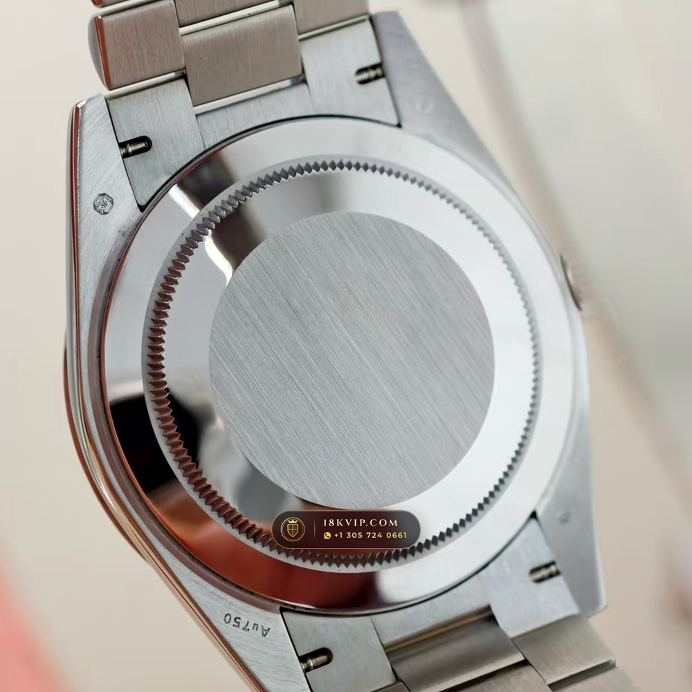 Rolex Day-Date 40 950 Platinum Ref. 228206 — Private Vault Edition — Studio Gallery Plate VI in 950 Platinum Pt950 (280.4g Verified Mass, Rolex Manufacture Cal. 3255 - 70h Power Reserve)